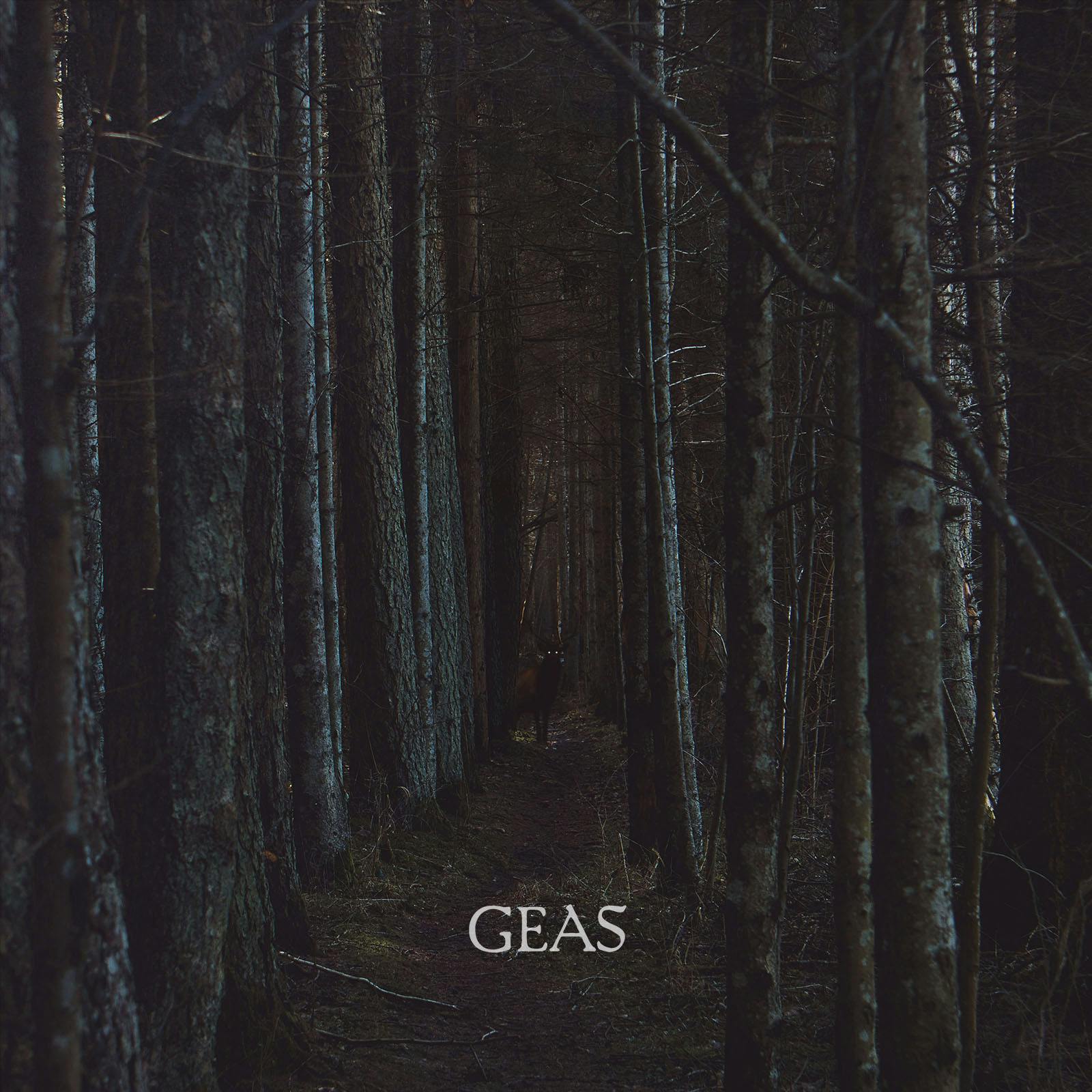 The album art for Geas. A dim and spooky forest with a foreboding deer staring at the viewer with glowing eyes and a dark figure.